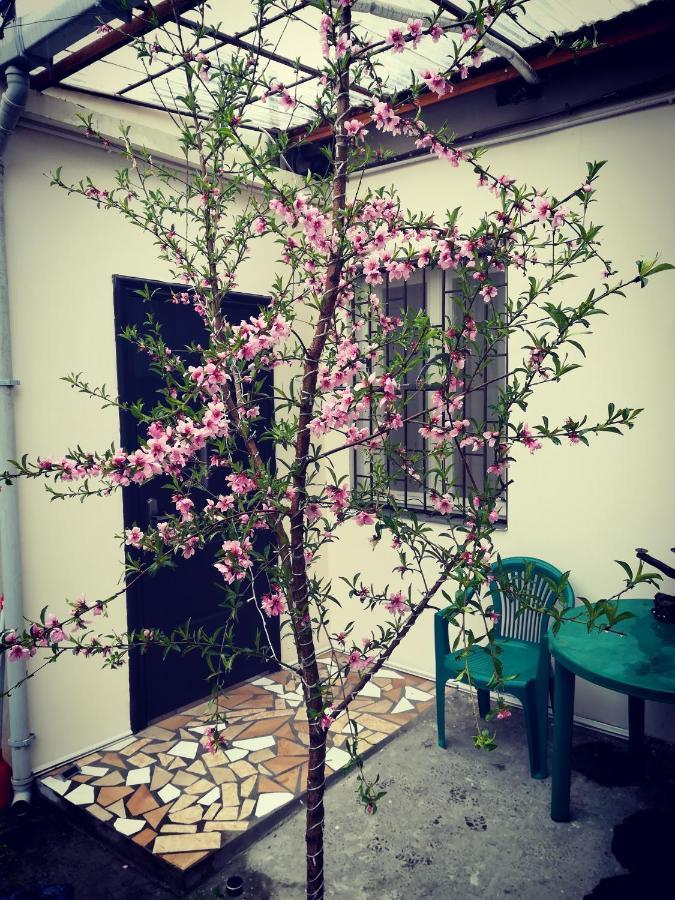 Green Corner Apartment Tbilisi Bagian luar foto